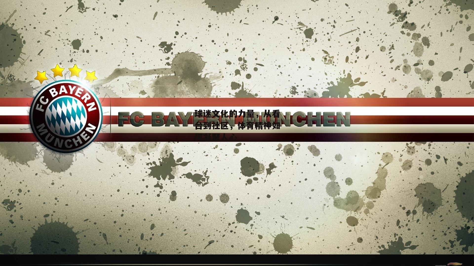 球迷文化的力量,从看台到社区,体育精神如何凝聚人心