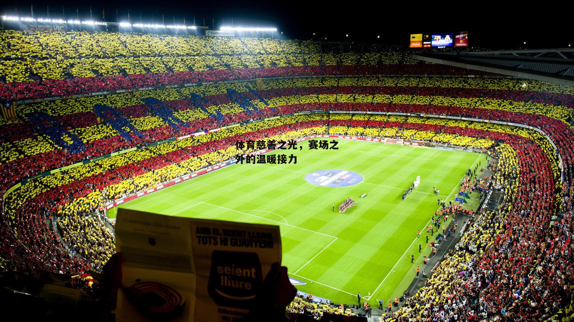 体育慈善之光,赛场之外的温暖接力